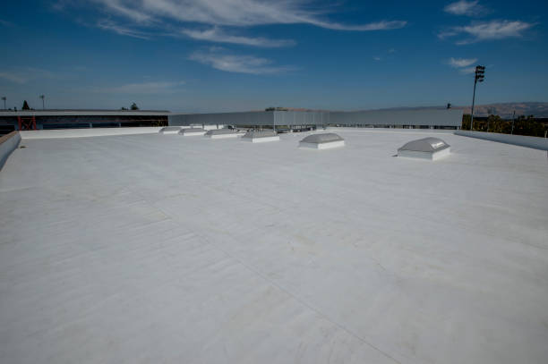 Best Steel Roofing  in Cayce, SC