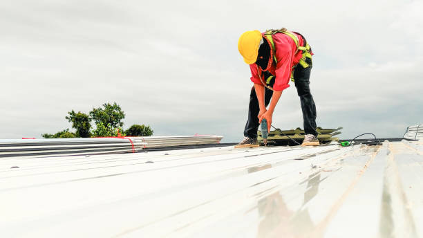 Best Roofing for New Construction  in Cayce, SC