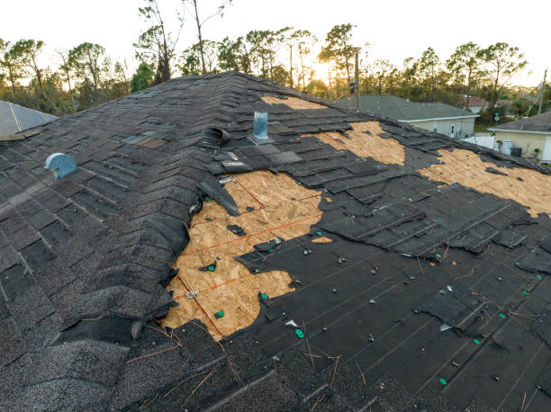 Best Skylight Installation and Repair  in Cayce, SC