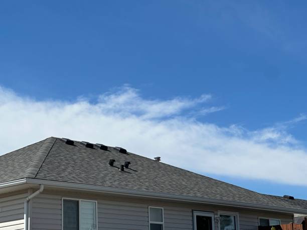 Best Wood Shake Roofing  in Cayce, SC